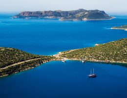 Information About Kas